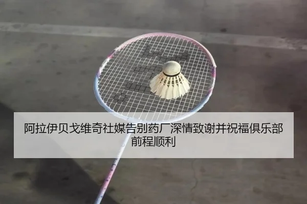 阿拉伊贝戈维奇社媒告别药厂深情致谢并祝福俱乐部前程顺利